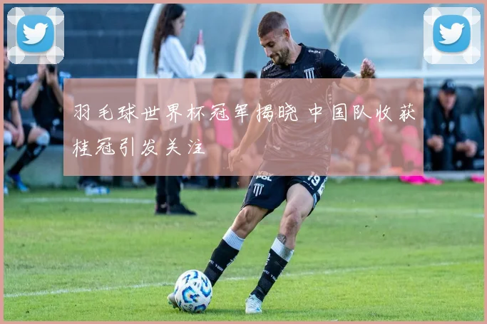 羽毛球世界杯冠军揭晓 中国队收获桂冠引发关注