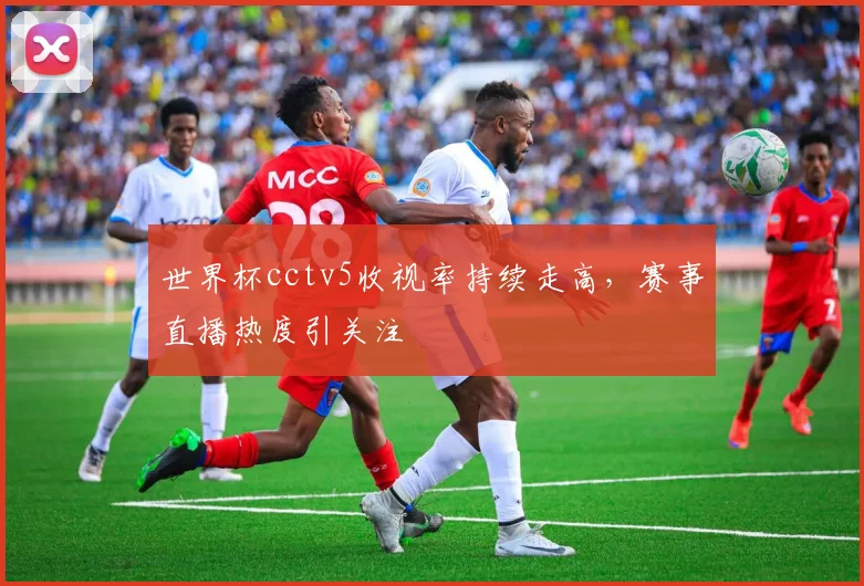 世界杯cctv5收视率持续走高,赛事直播热度引关注