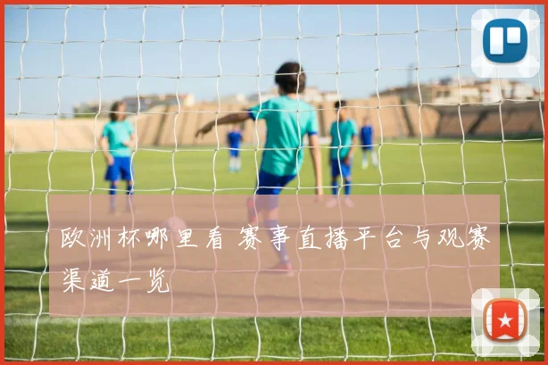 欧洲杯哪里看 赛事直播平台与观赛渠道一览